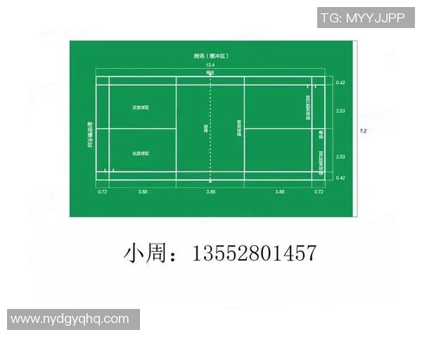 上海羽毛球队个人能力分析及其在联赛中的表现评估