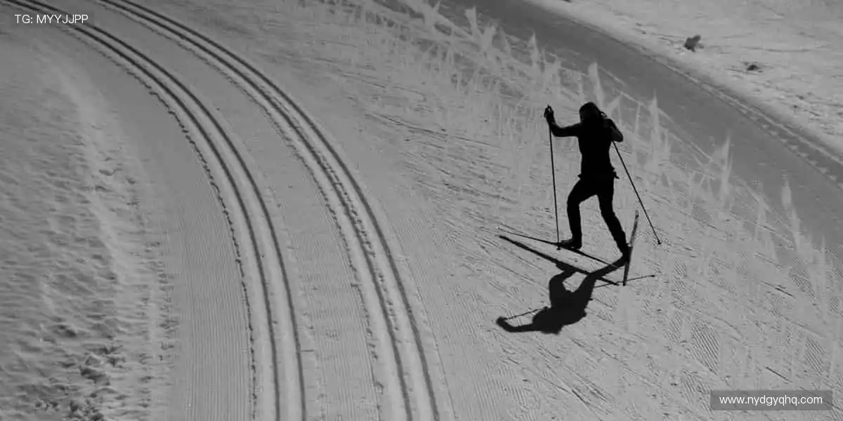 🏀 汗水与荣耀，直播间见！