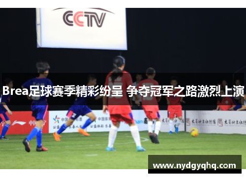 Brea足球赛季精彩纷呈 争夺冠军之路激烈上演