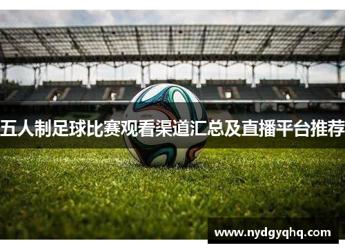五人制足球比赛观看渠道汇总及直播平台推荐