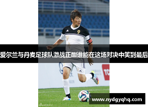 爱尔兰与丹麦足球队激战正酣谁能在这场对决中笑到最后